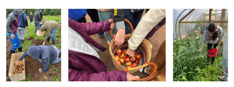 Locally Integrated Food Teams in the Upper Peninsula (LIFT UP).